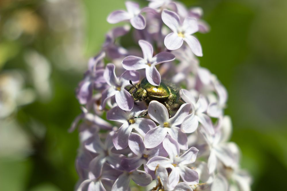 Photograph by Екатерина Великанова