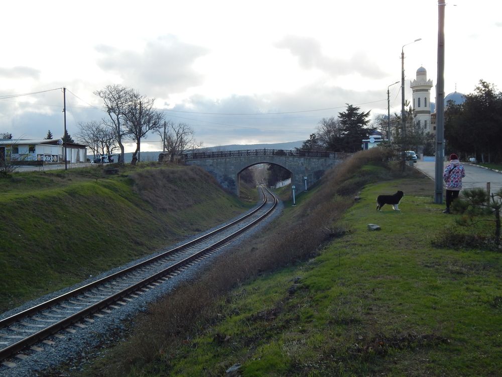 Photograph by Tanivsv