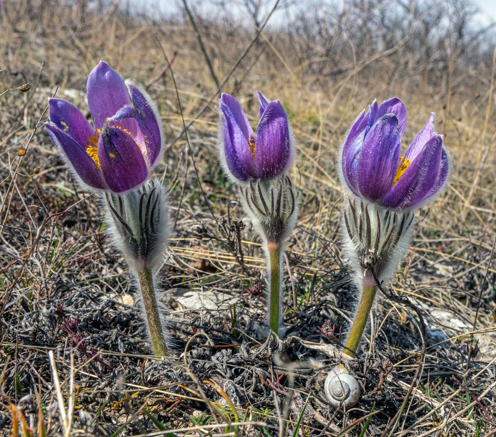 Photograph by Сергей Христинич