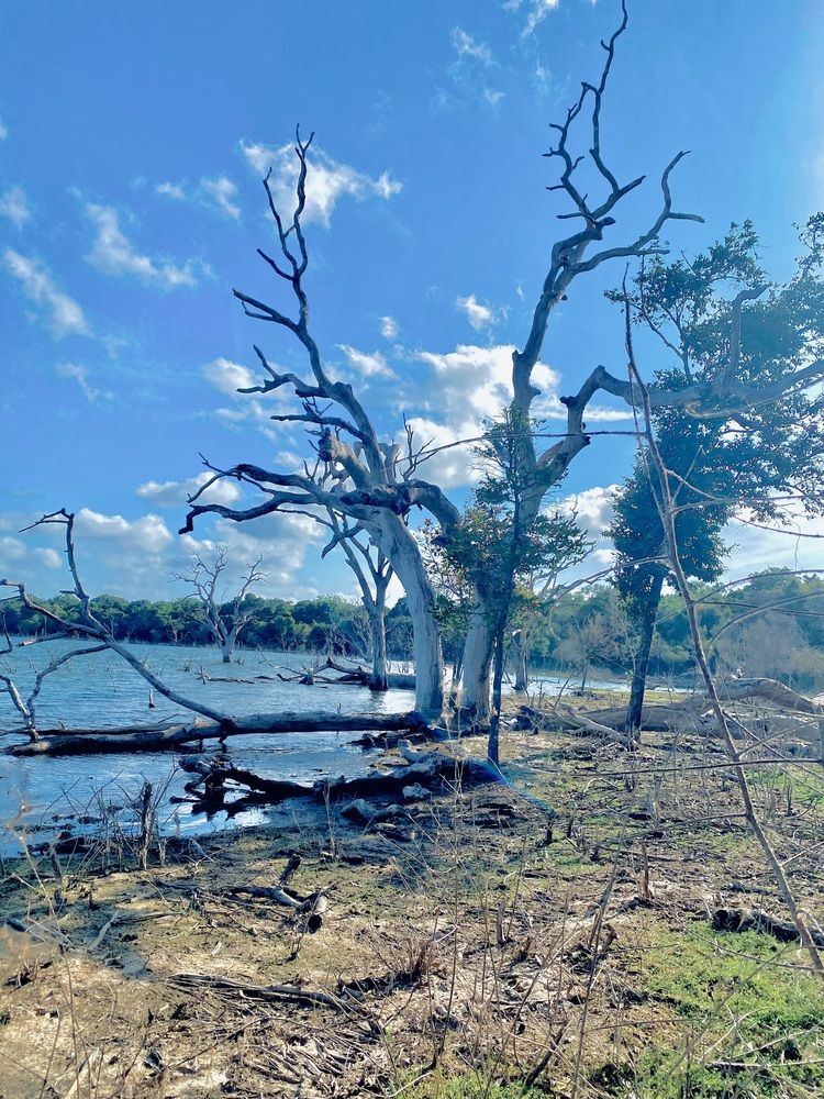 Photograph by P Dilukshan Dilu