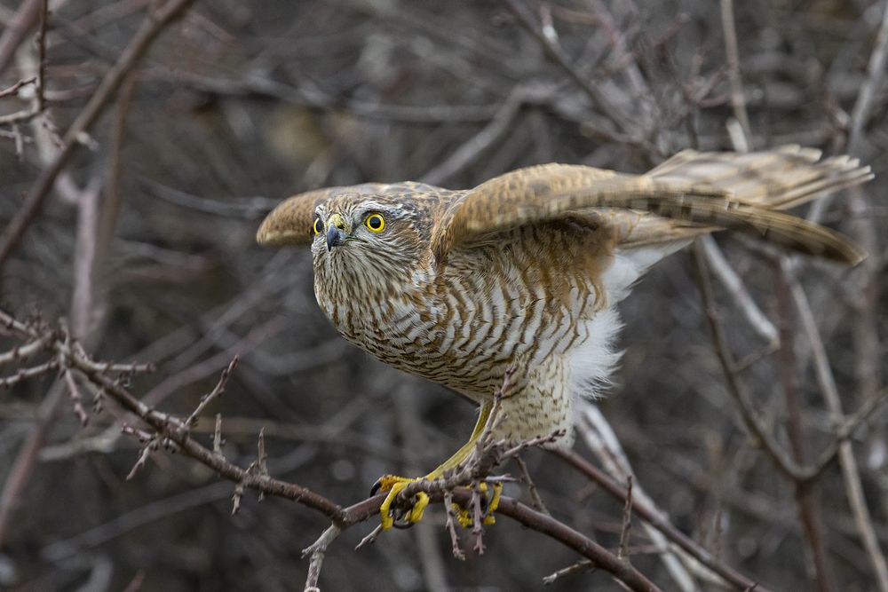 Photograph by Валерий Черняк