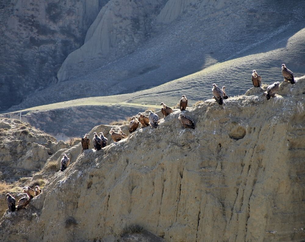 Photograph by Хасаймирза Хасаймирзаев