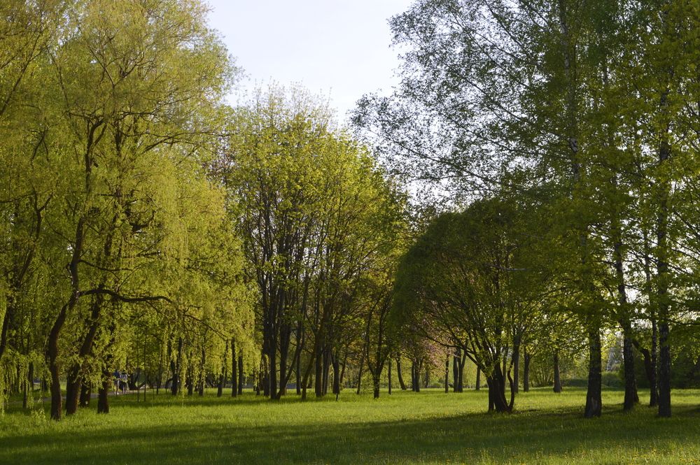 Photograph by Виталина Гаврильчик