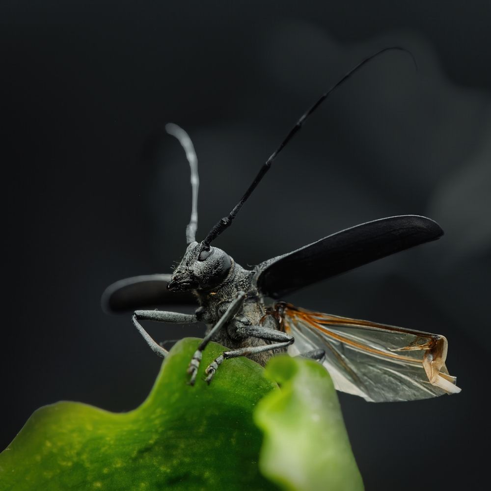 Photograph by Коновалов Валерий