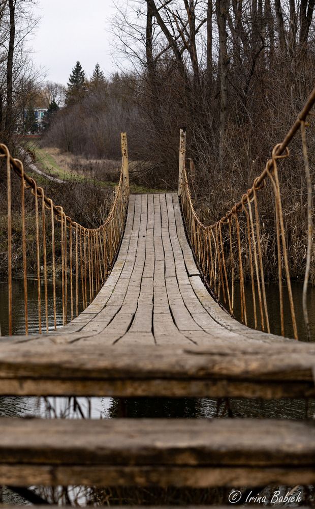 Photograph by Ирина Бабич