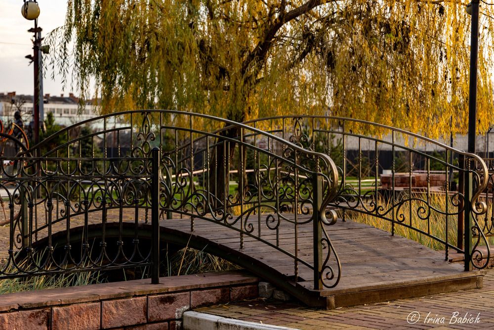 Photograph by Ирина Бабич