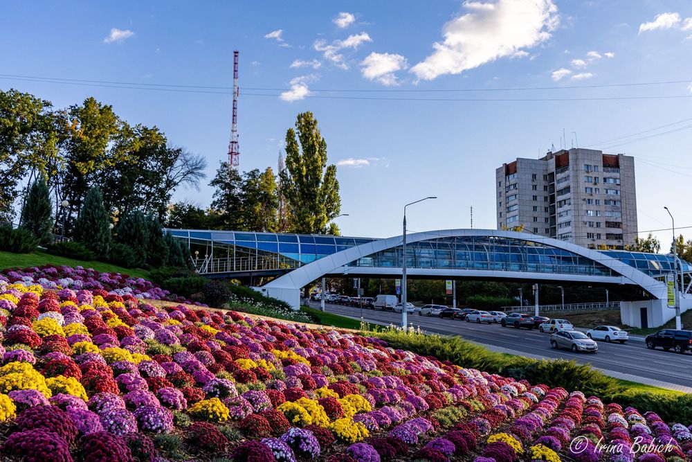 Photograph by Ирина Бабич