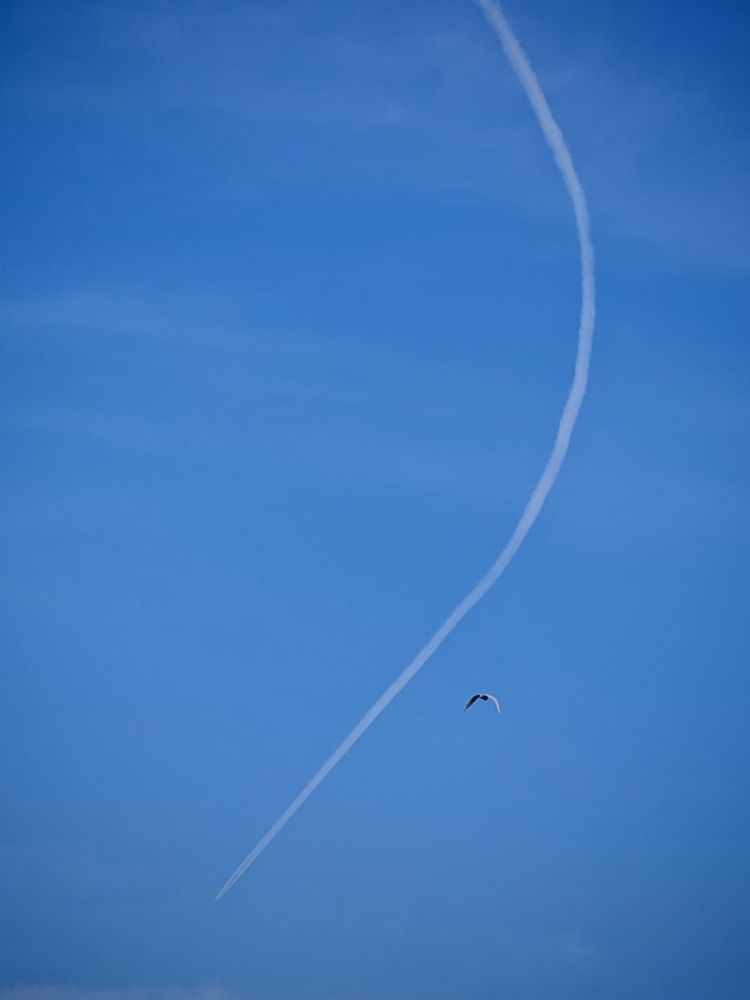 Photograph by Hardeep Solanki