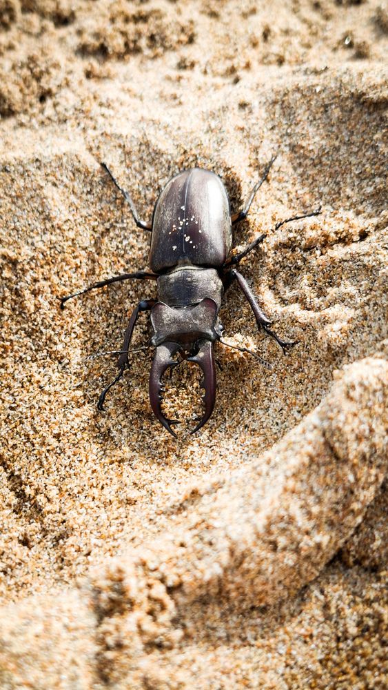 Photograph by Татьяна Кириллова