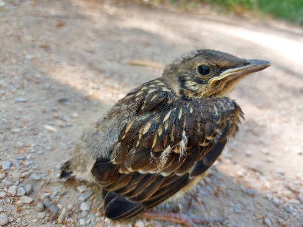 Photograph by Алена Марченко