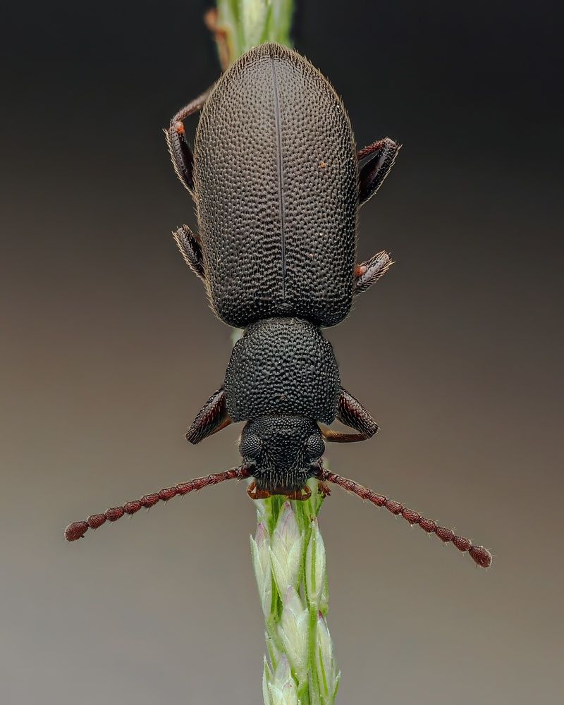 Photograph by Hardeep Solanki