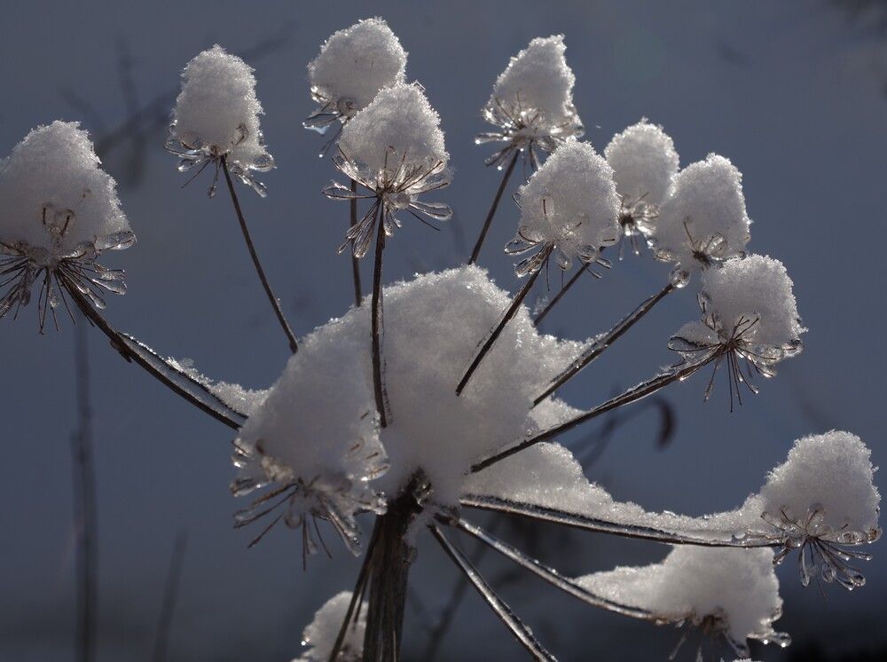 Photograph by Олег Черноокий