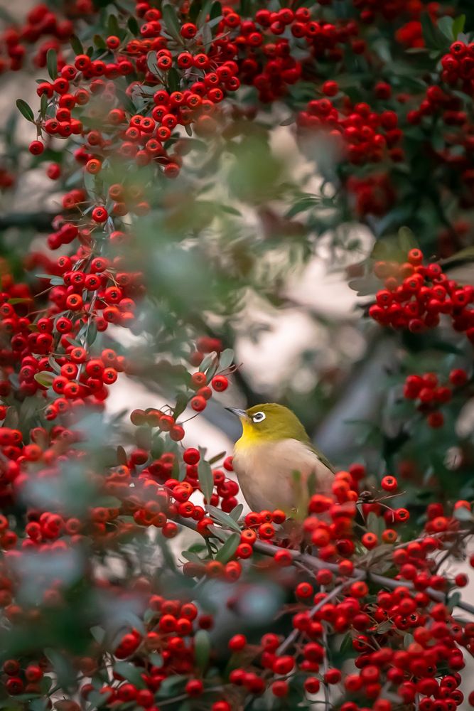 Photograph by T Marcy