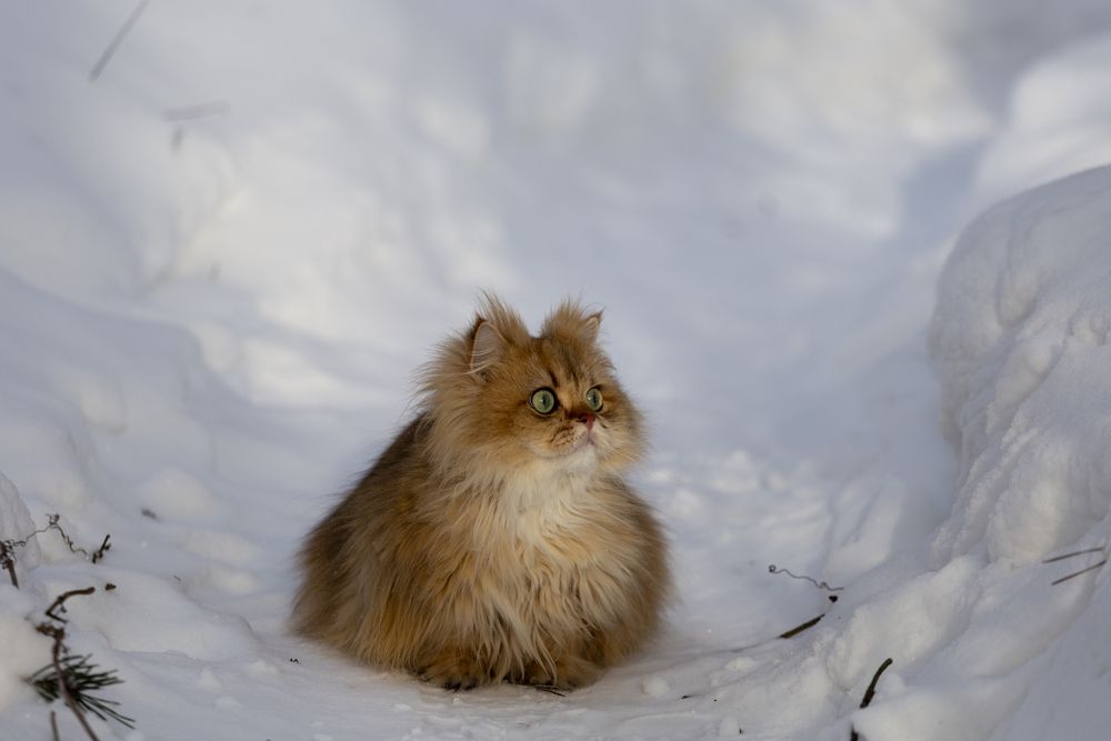 Photograph by Беликов Михаил
