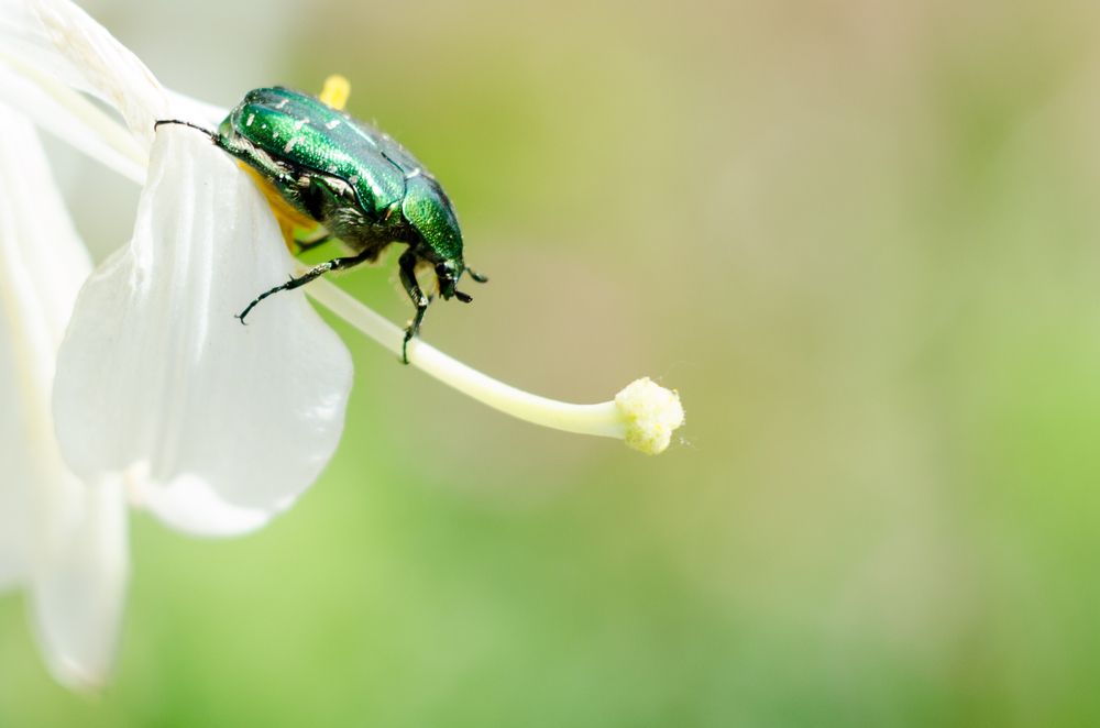 Photograph by Андрей Федоров