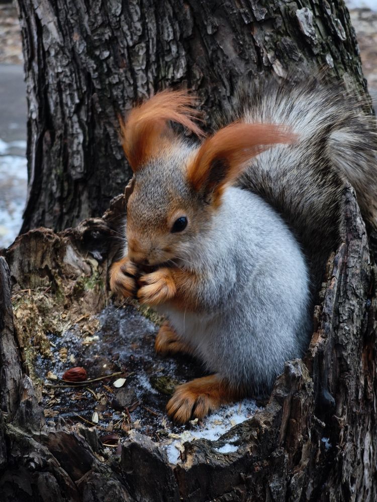 Photograph by Наталья Веселкина