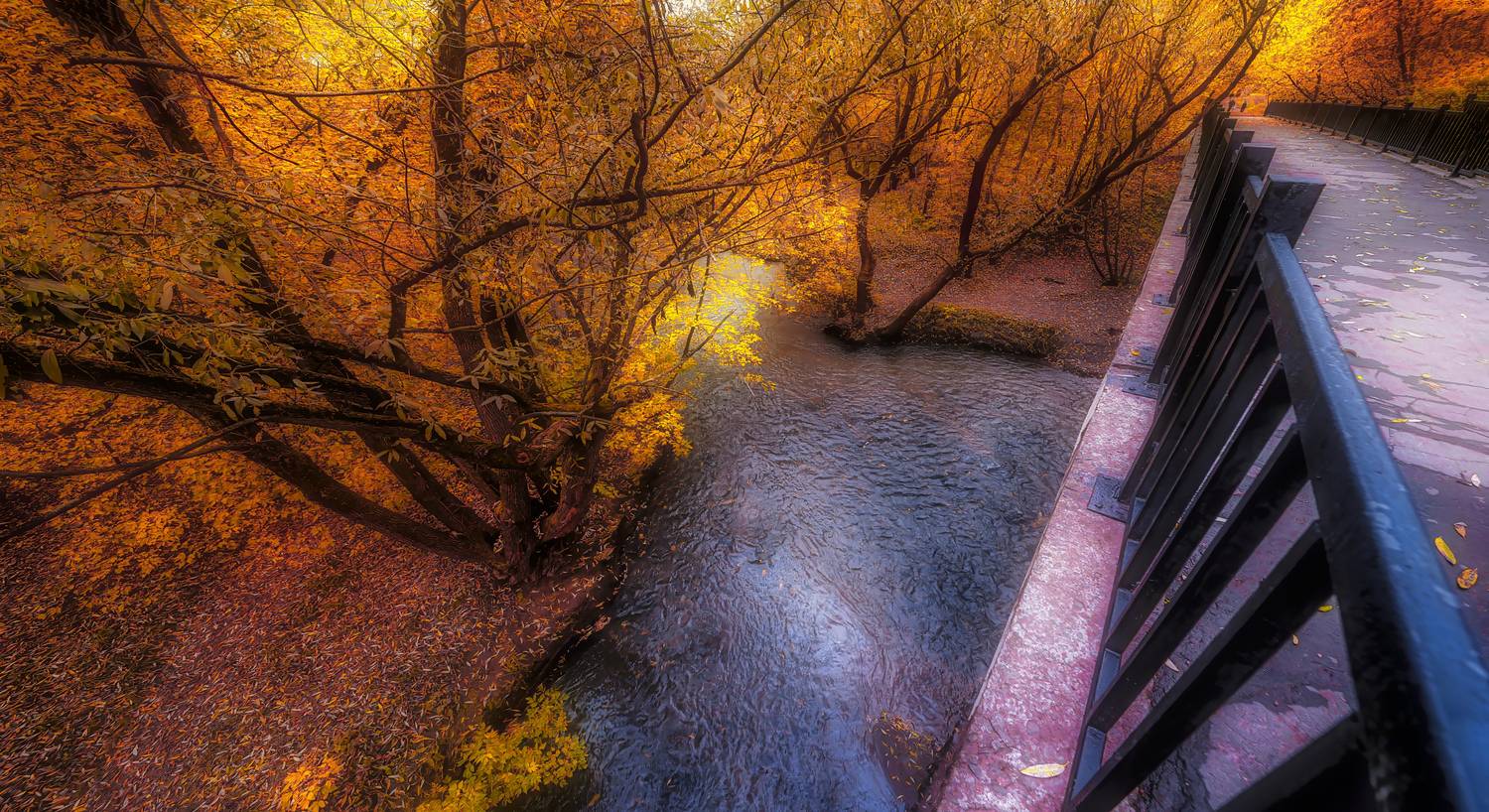 Мост через Сетунь осенью.