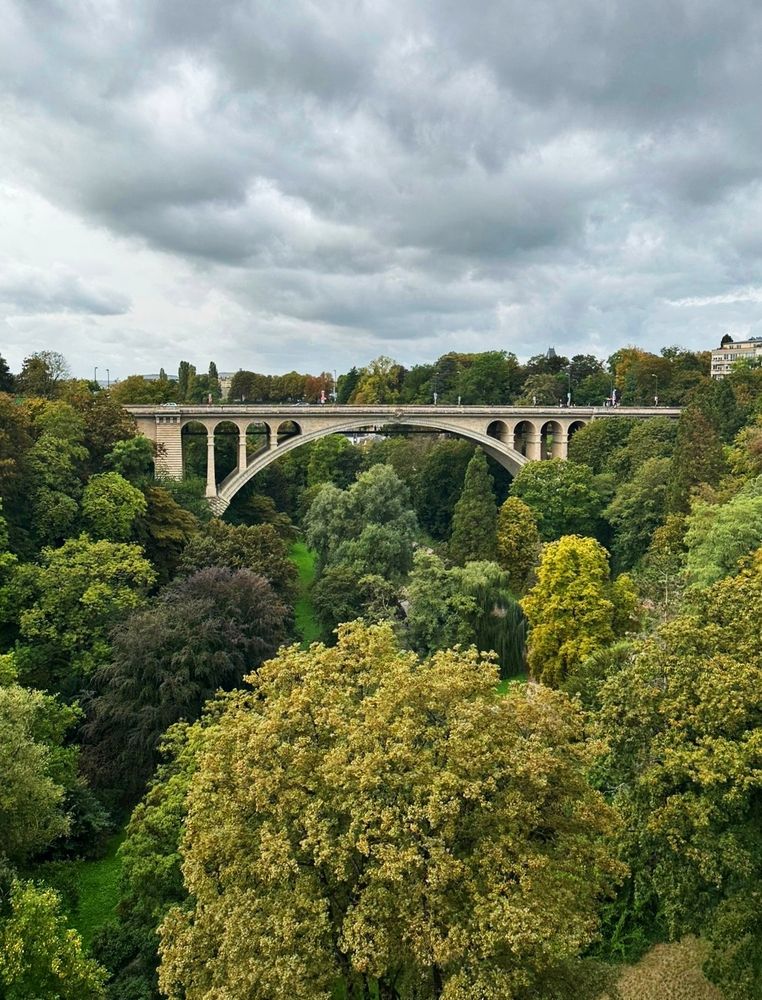 Фотография автора Tatiana Shirenko