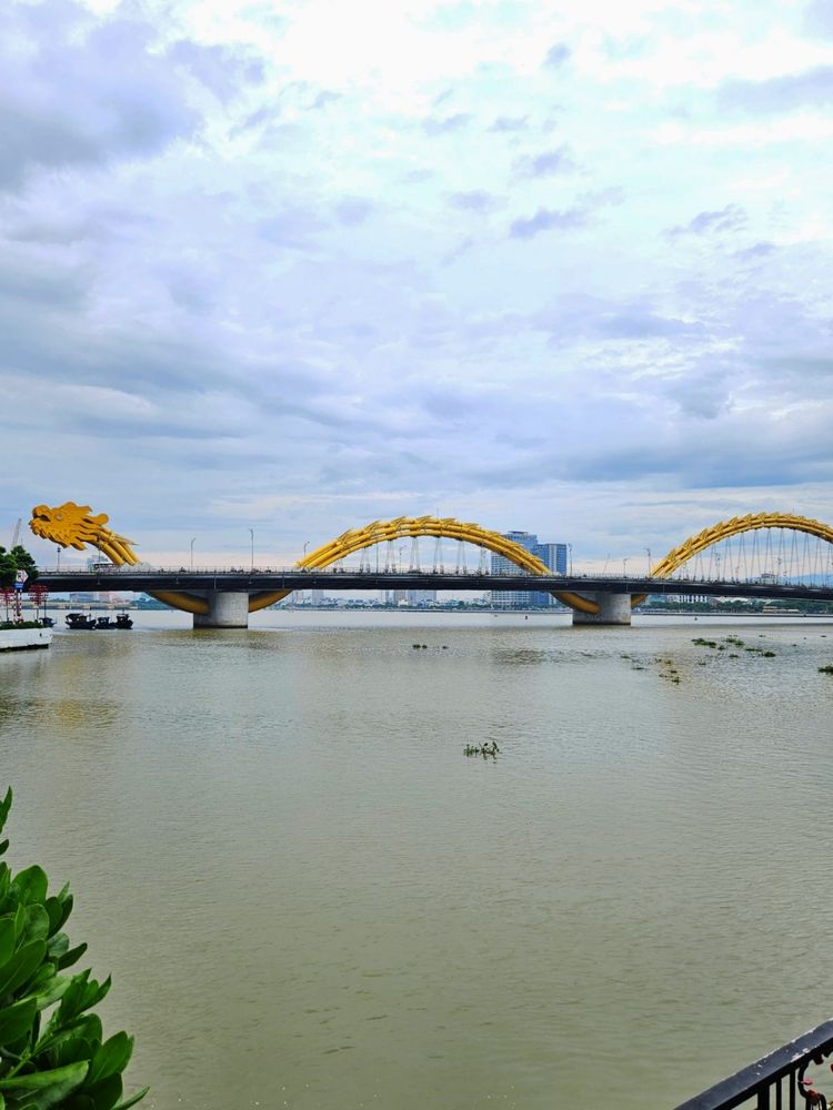 Фотография автора Tatiana Shirenko