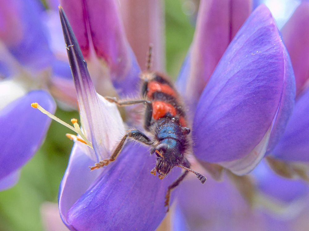 Photograph by Игорь Смирнов