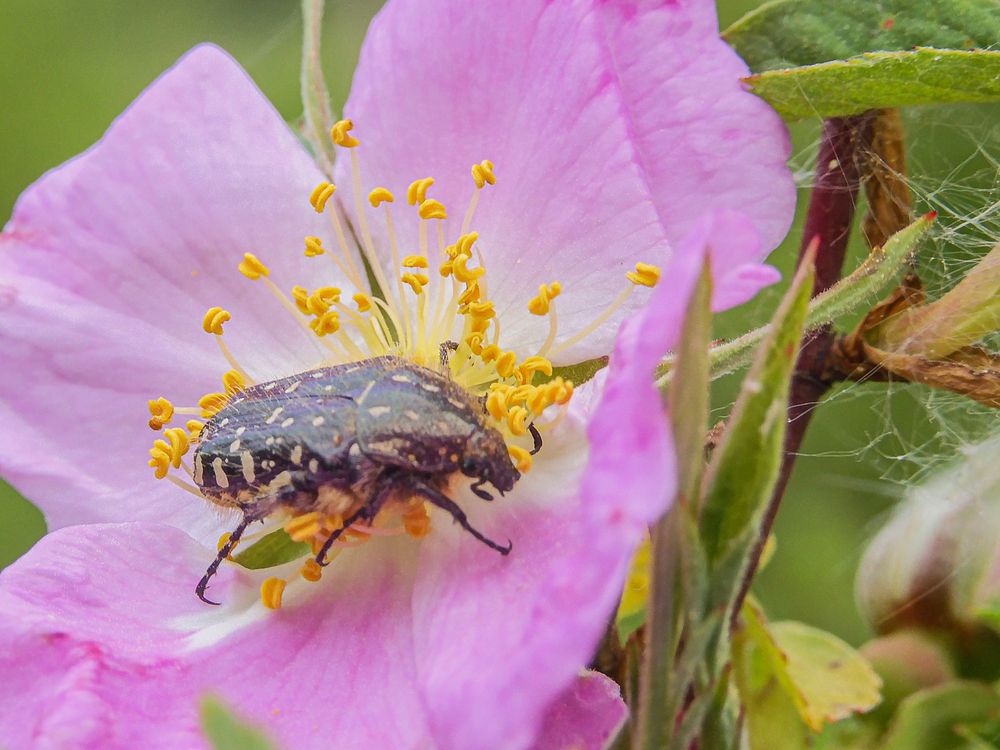 Photograph by Игорь Смирнов
