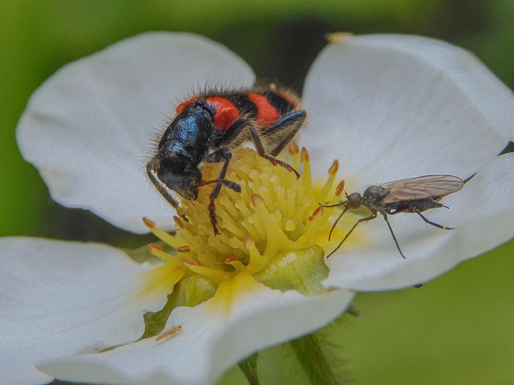 Photograph by Игорь Смирнов