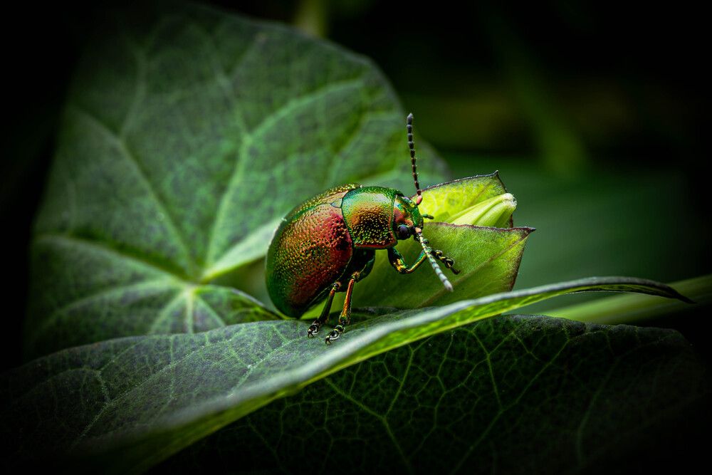 Фотография автора Pavel Khrulkov