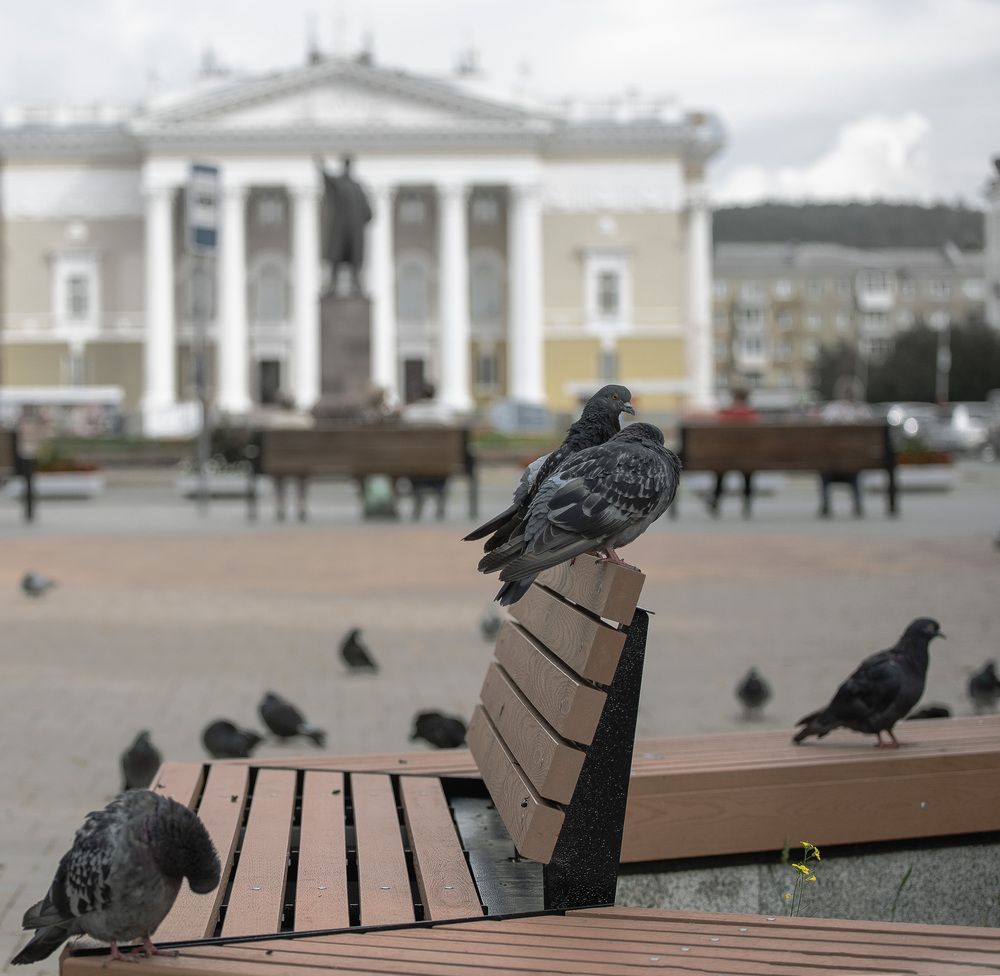 Photograph by Юрий Епифанцев
