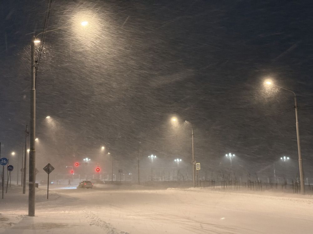 Фотография автора Бороненков Вадим