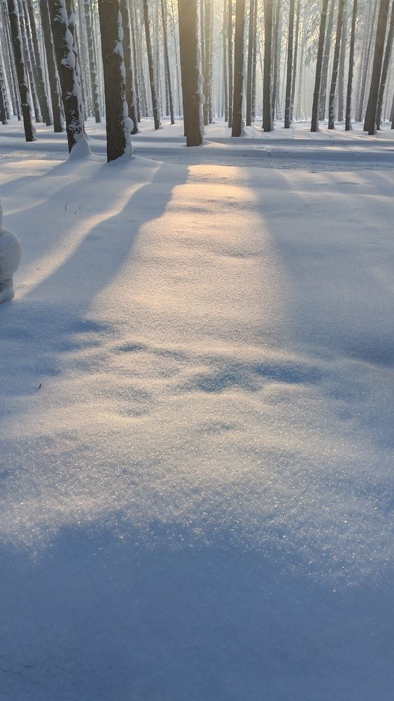 Photograph by Наталья Шендяпина