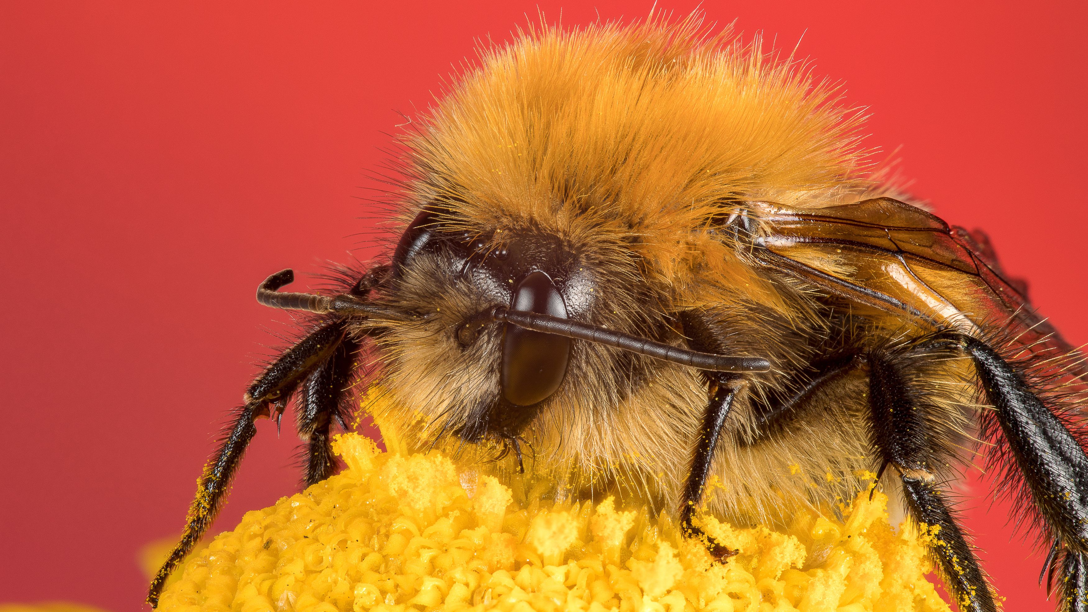 Фотография автора Андрей Кривов