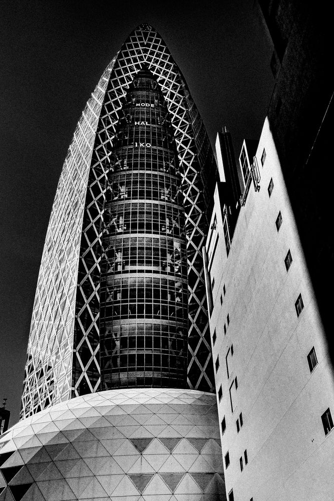 Фотография автора mak takano