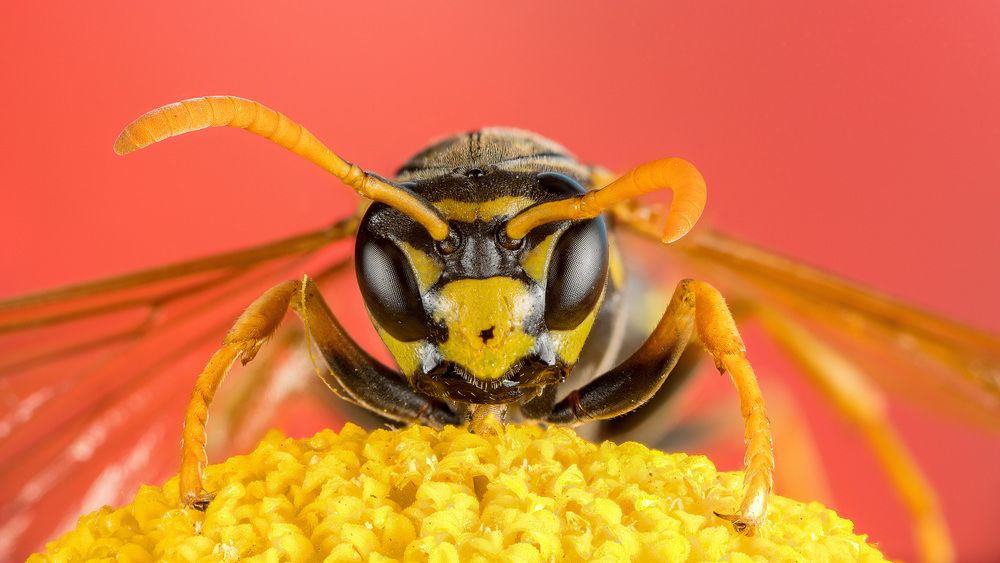 Photograph by Андрей Кривов