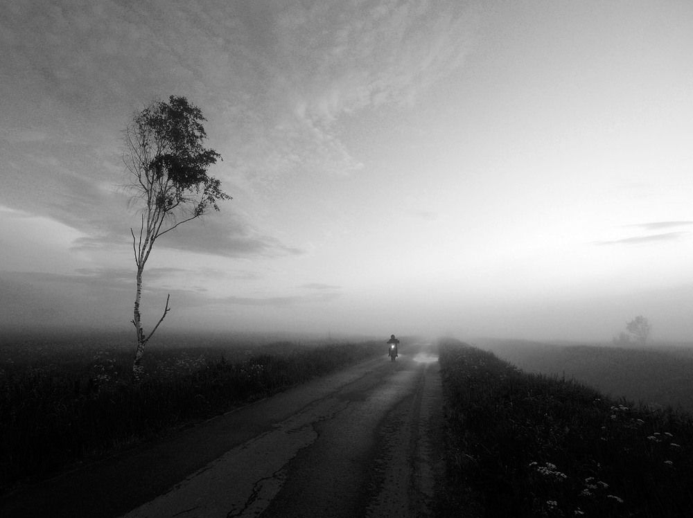 Photograph by Дмитрий Ткаченко