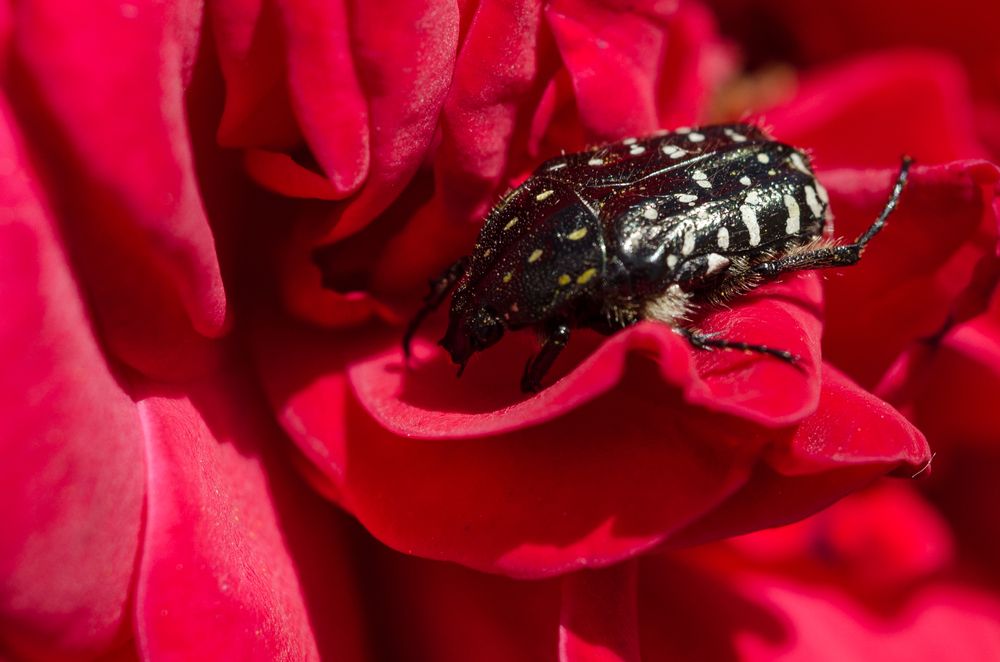 Photograph by Андрей Федоров