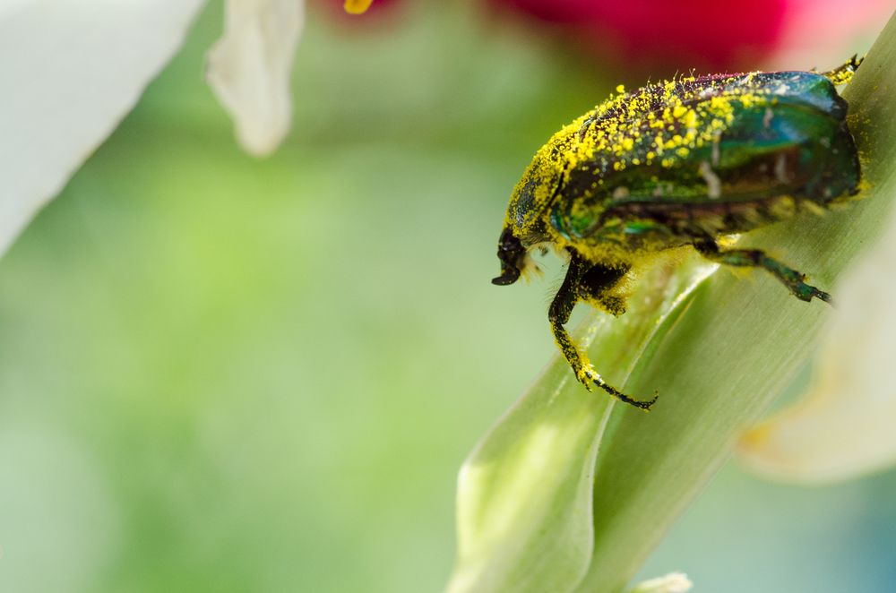 Photograph by Андрей Федоров