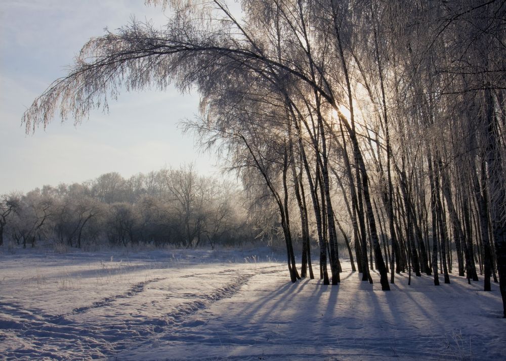 Photograph by Ионова Татьяна