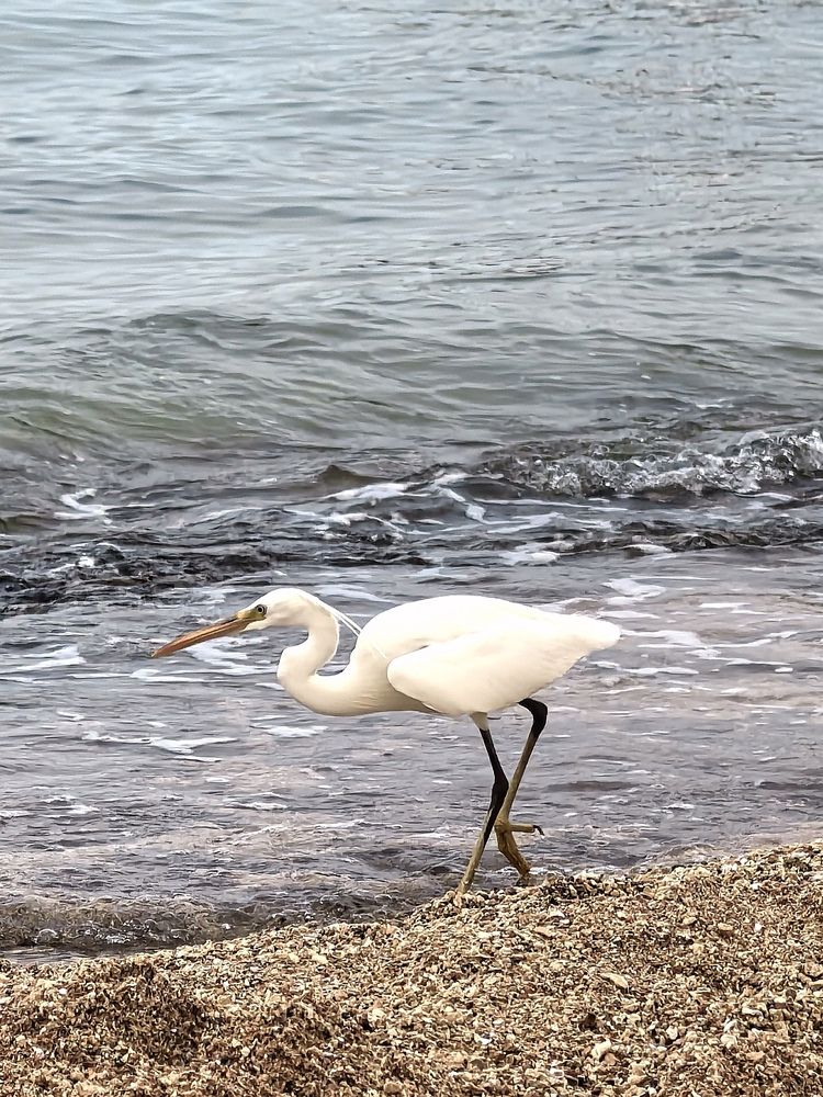 Photograph by Оксана Абакумова