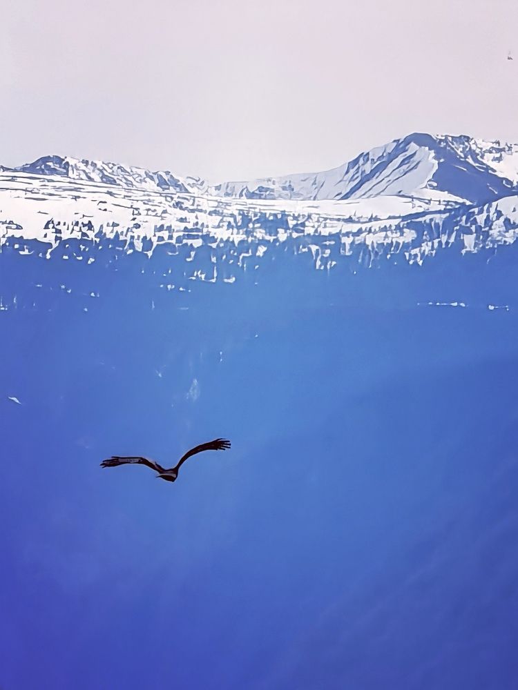 Photograph by Оксана Абакумова