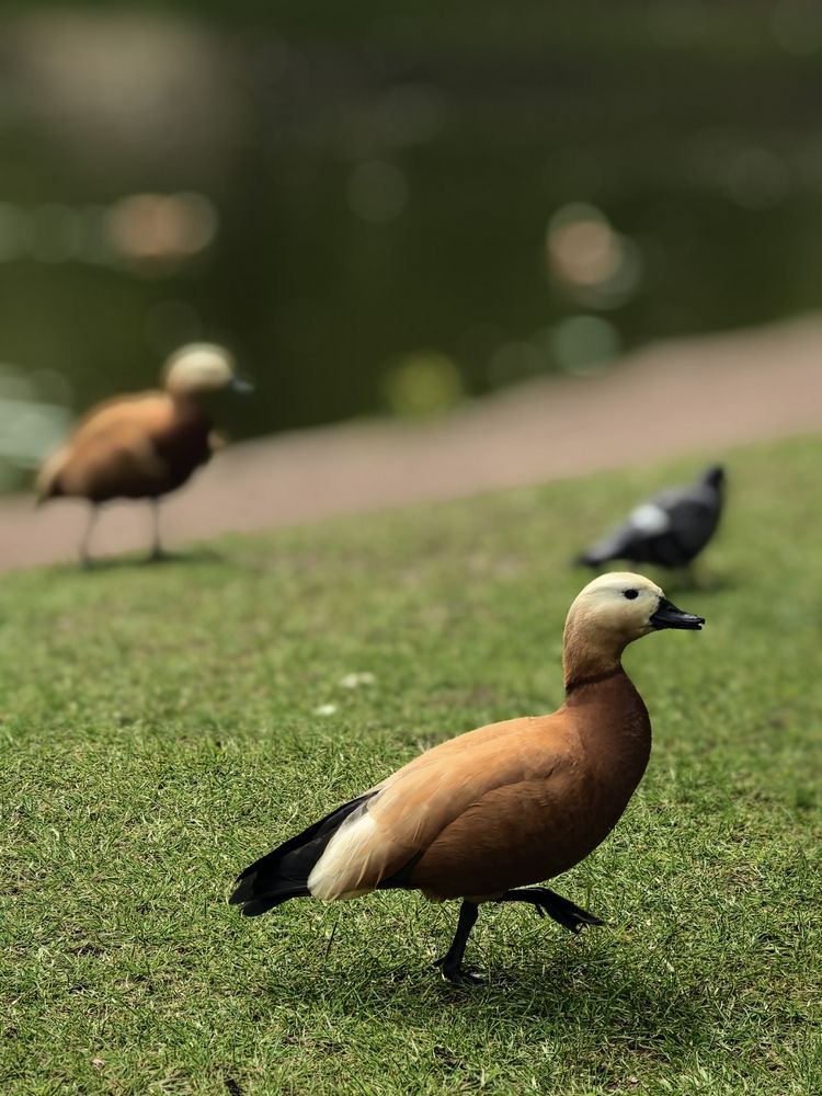 Photograph by Оксана Абакумова