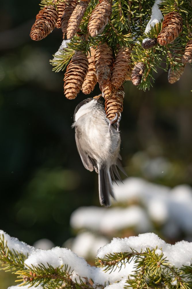Photograph by Альварис Сукманюк