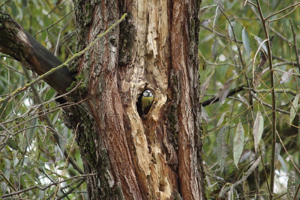 Photograph by Оксана Малахова