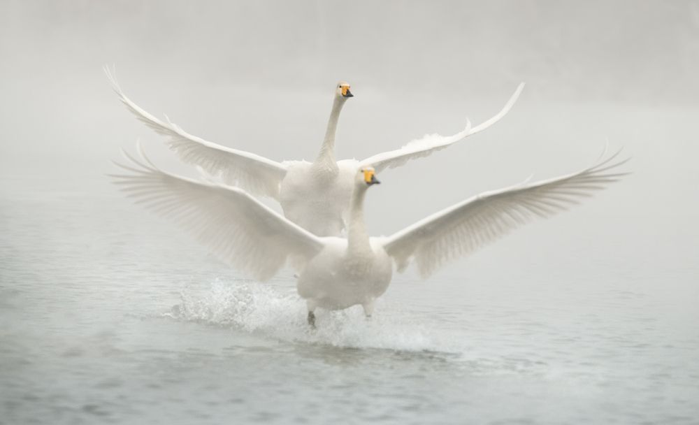 Photograph by Рудченко Ольга