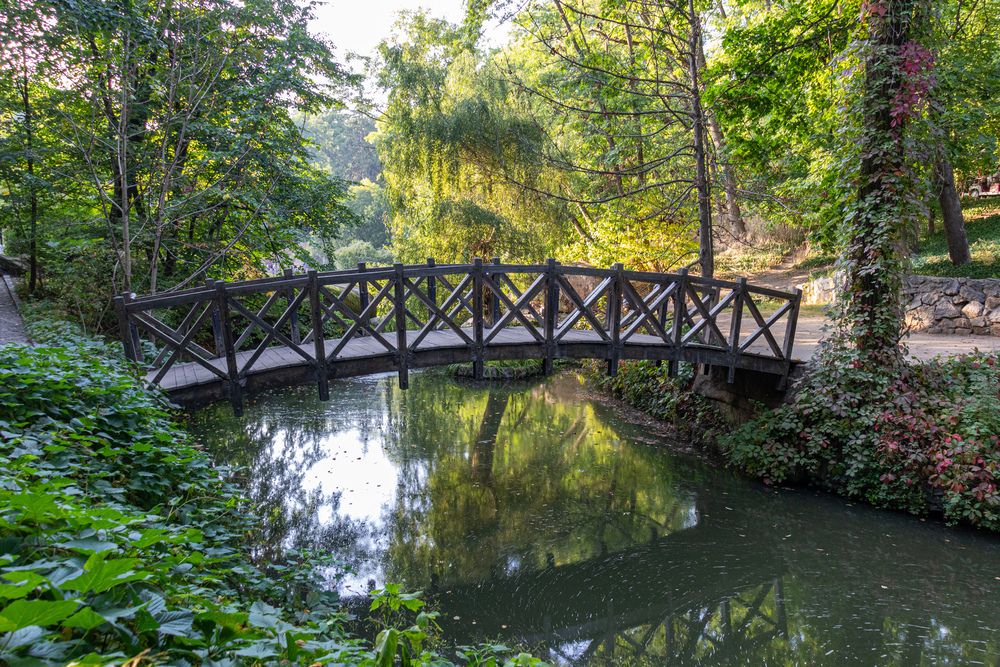 Фотография автора Виталий Панченко