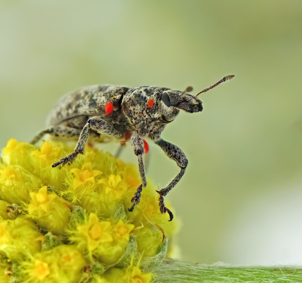 Photograph by Наталья Соколова