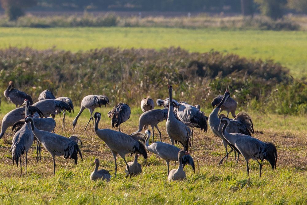 Photograph by Евгения Чех