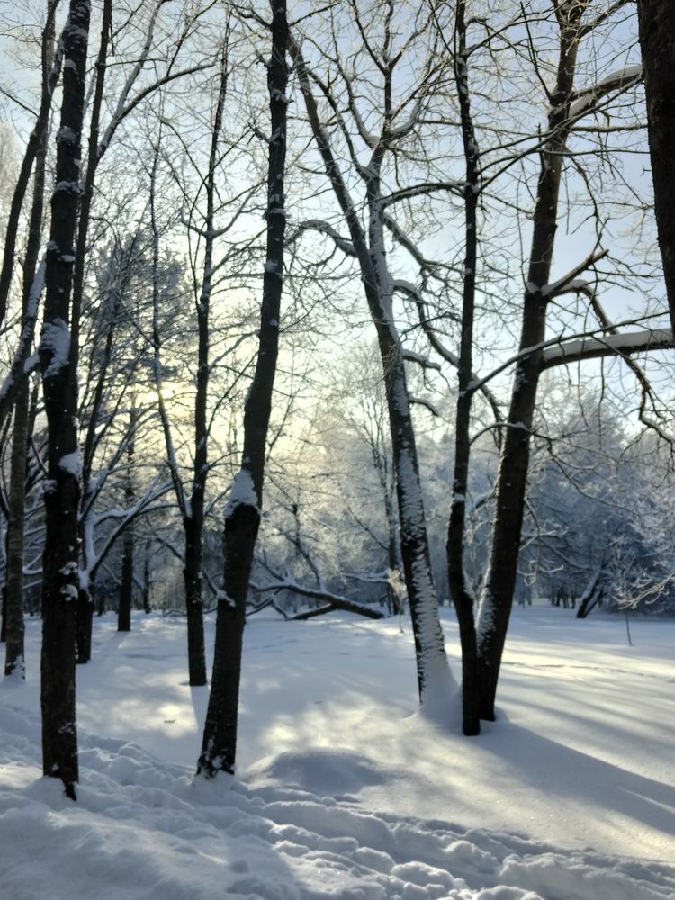 Photo #13212431