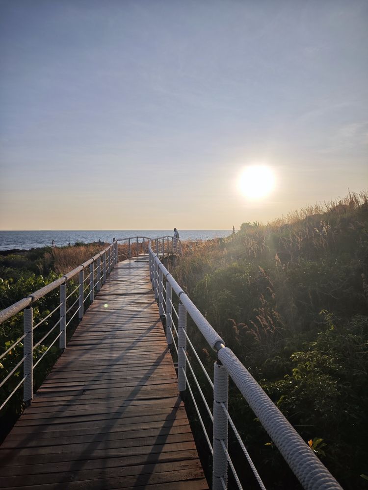 Фотография автора Ася Титова