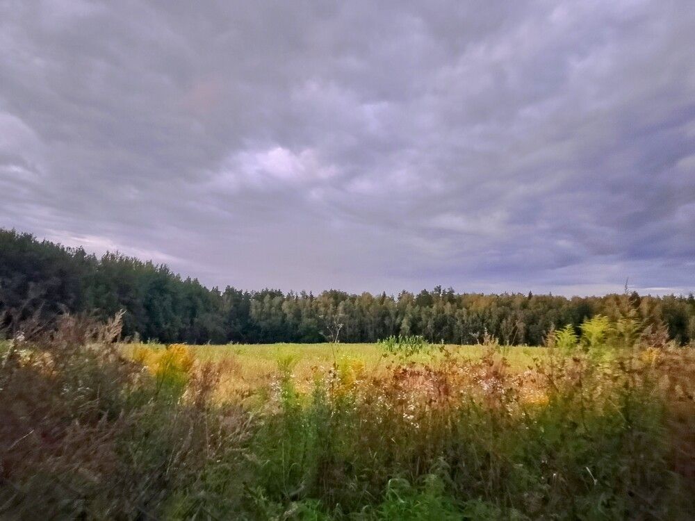 Photo #13212450
