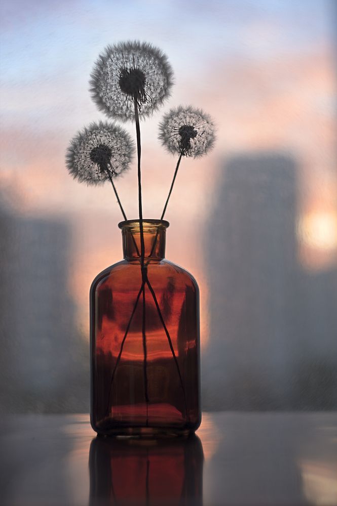 Photograph by Наталья Комиссарова